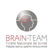 brainteam.jpg