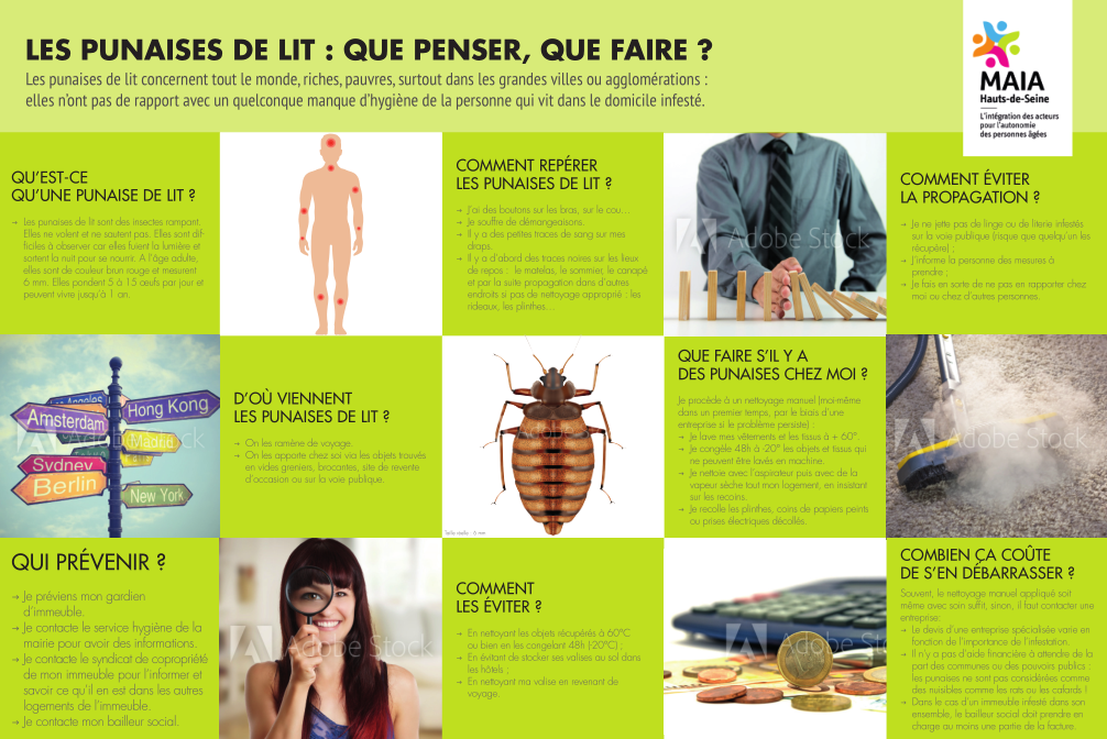 affiche punaises.png